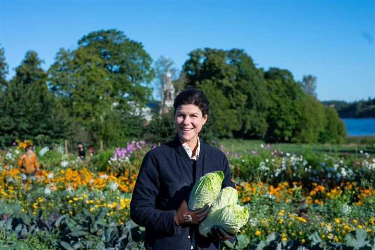 Farmer harvesting at urban farm in Stockholm, Sweden